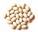 Navy Beans