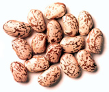 Pinto Beans
